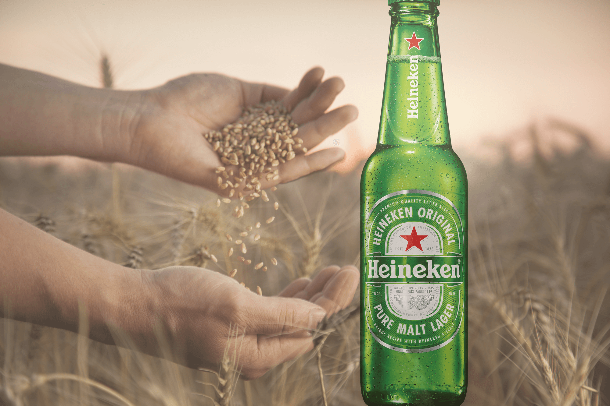 Heineken (1)